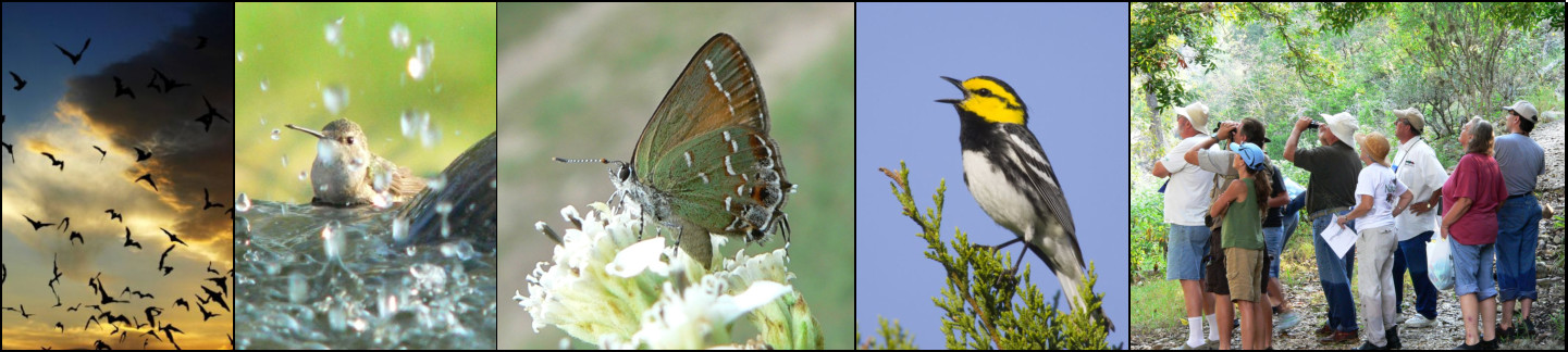 Hill Country Nature Quest - The Best Birding and all-round Nature Festival in Central Texas