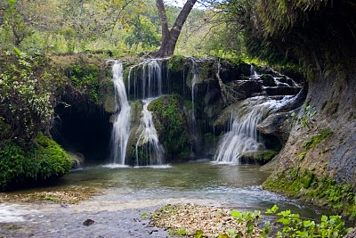 Hill Country Nature Quest - The Best Birding and all-round Nature Festival in Central Texas