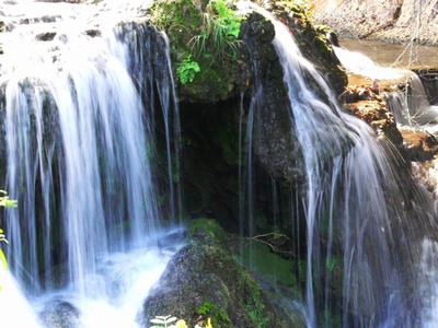 Hill Country Nature Quest - The Best Birding and all-round Nature Festival in Central Texas