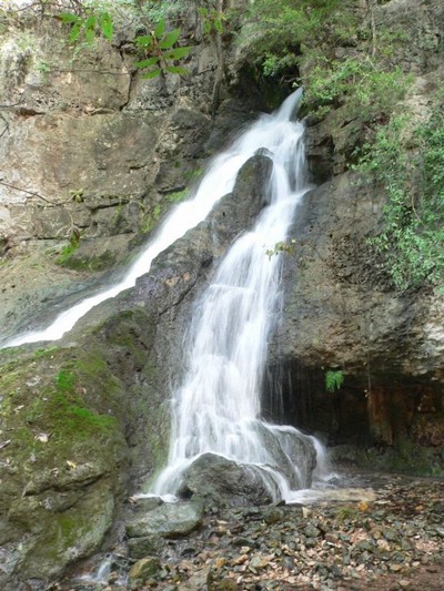 Hill Country Nature Quest - The Best Birding and all-round Nature Festival in Central Texas