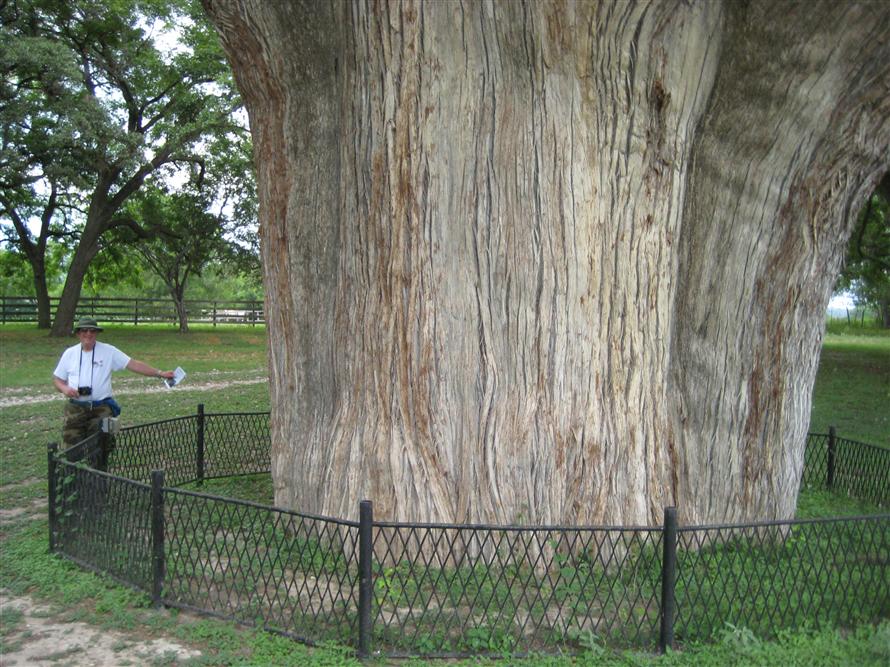 Hill Country Nature Quest - The Best Birding and all-round Nature Festival in Central Texas