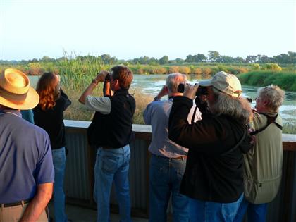 Hill Country Adventures - Birding, Kayaking, Frio Bat Flight