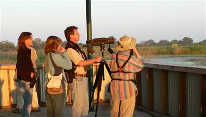 Hill Country Adventures - Birding, Kayaking, Frio Bat Flight