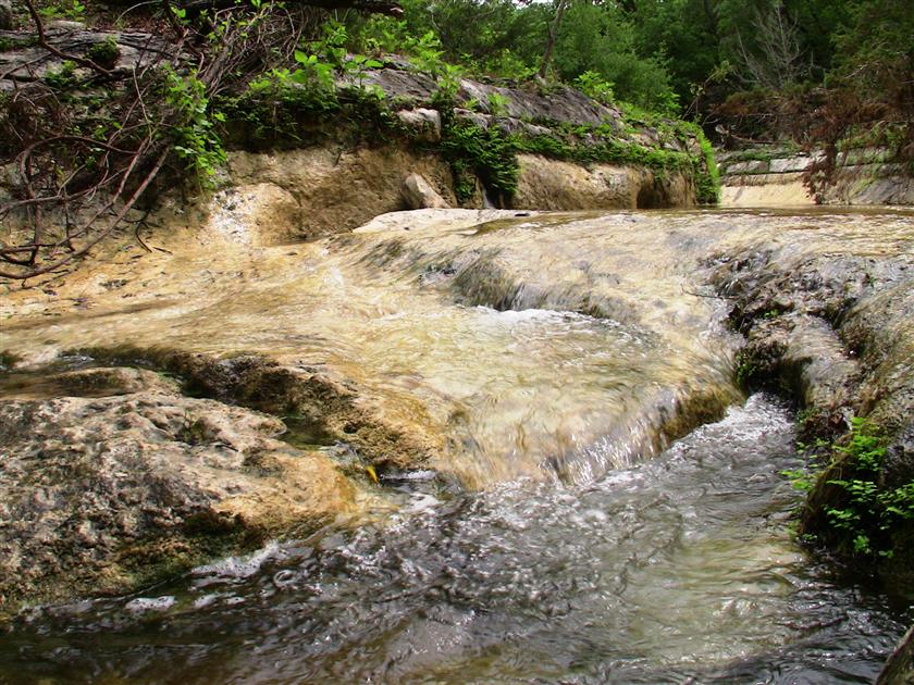 Hill Country Nature Quest - The Best Birding and all-round Nature Festival in Central Texas