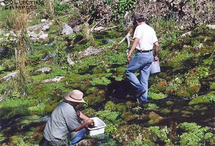 Hill Country Adventures - Birding, Kayaking, Frio Bat Flight